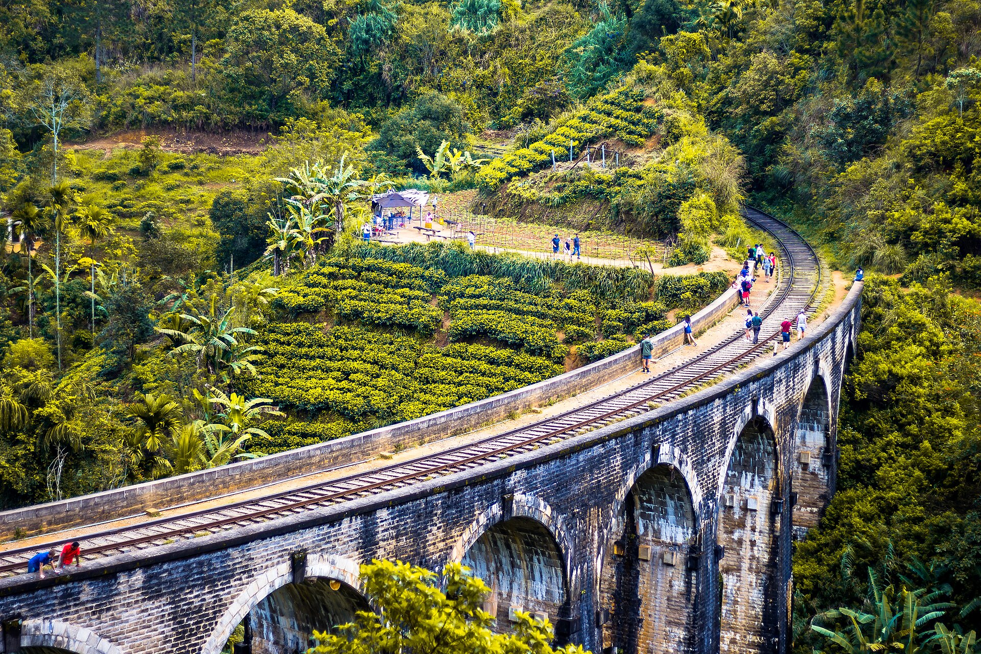 The Nine Arch Bridge near Ella, a stone viaduct curving through dense green jungle