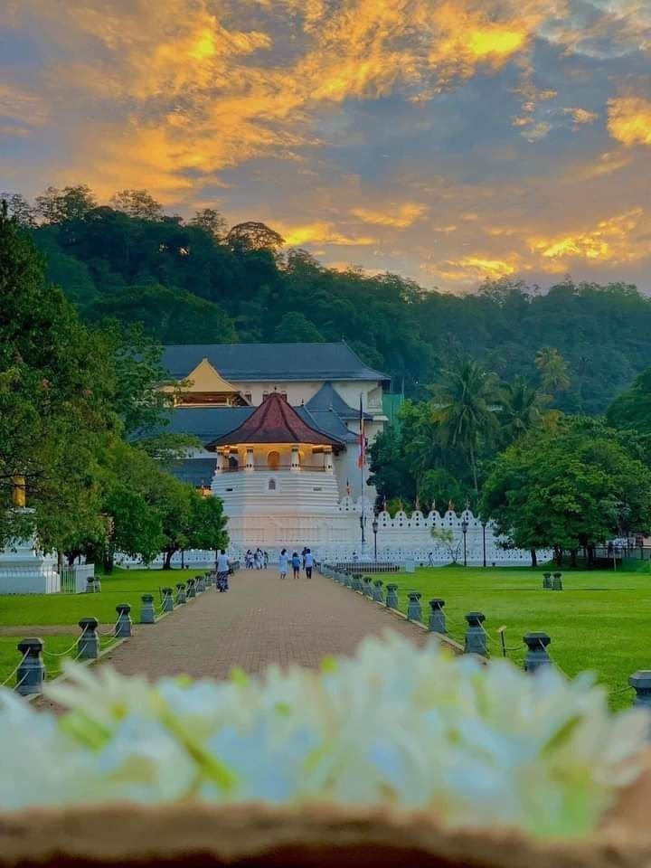 The Temple of the Sacred Tooth Relic at dusk, lotus offerings in the foreground
